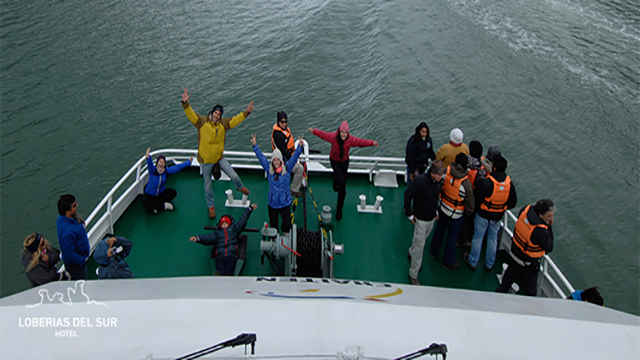 catamaranes patagonia
