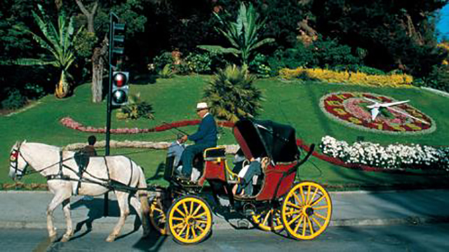 reloj de vina del mar